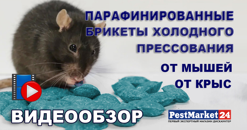 Парафинированные брикеты холодного прессования для борьбы с грызунами. От мышей и крыс. ВИДЕООБЗОР